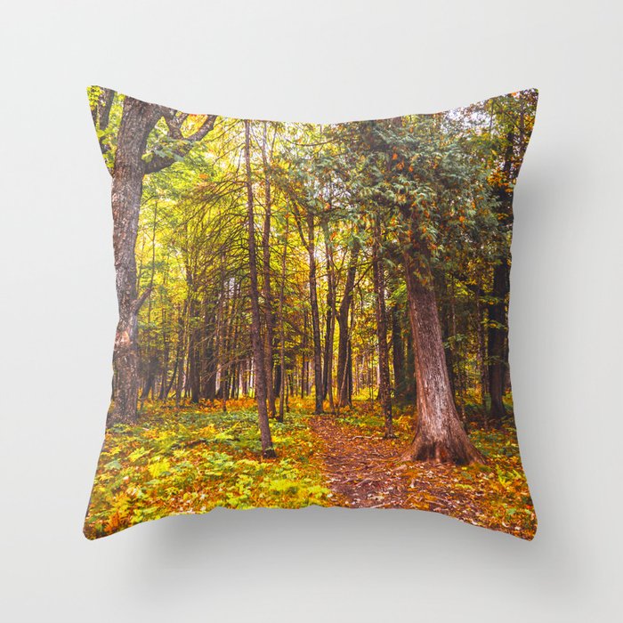 Autumn Forest | Travel Photography | Northern Minnesota Throw Pillow