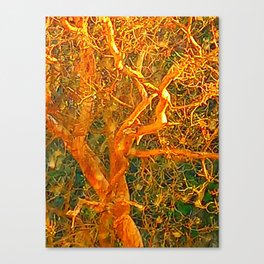 Golden Twisted Tree Canvas Print