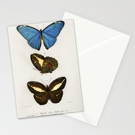 Different Types of Butterfly Stationery Card