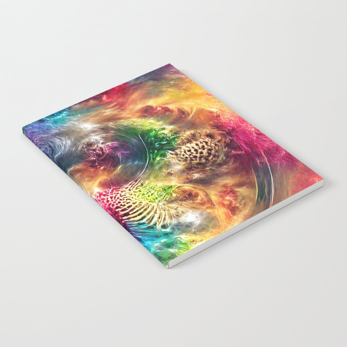 Rainbow Explosion Notebook