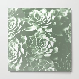 Modern sucullent green cactus floral pattern Metal Print