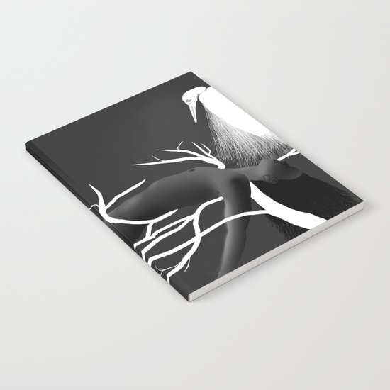 Flight Initiation Distance Notebook