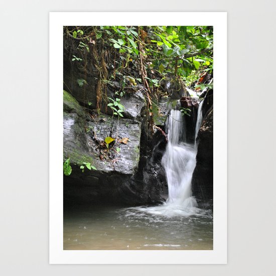 Waterfall in Trinidad Art Print