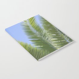 Tropical palmtree - green blue leaves mediterranean travel photography Notebook