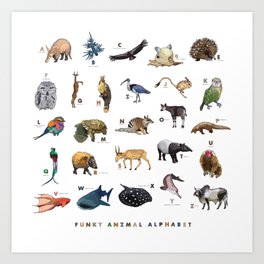 Funky Animal Alphabet Art Print