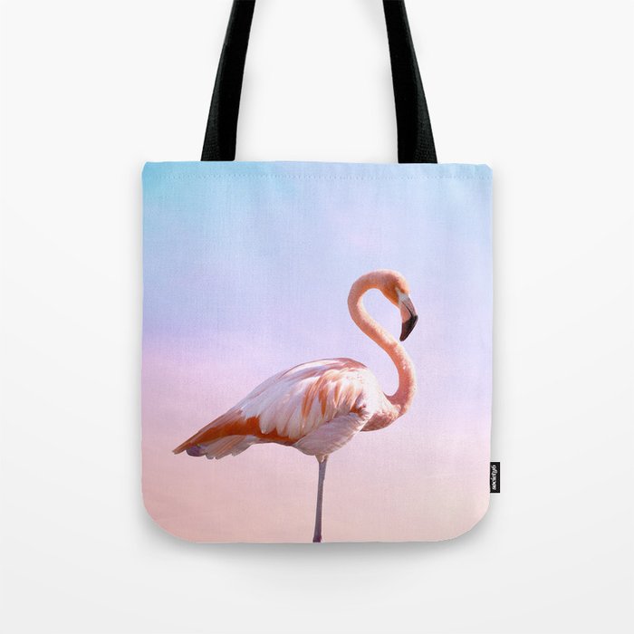 Flamingo and Unicorn Sky, Flamingo Photography, Ocean
