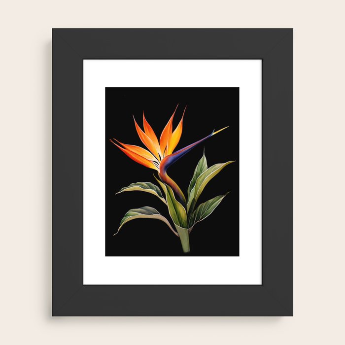 Framed Art Print