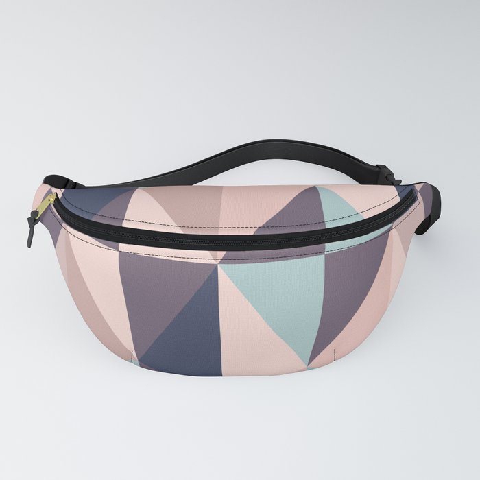 Dsw fanny deals pack