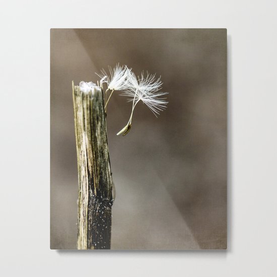 ready to fly away Metal Print