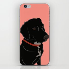 Black Lab with Red Collar iPhone Skin