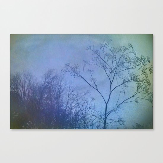 The Quiet of Winter Canvas Print
