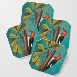 Red Headed Woodpecker with Oak, Natural History and Botanical collage Coaster