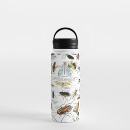 Insects Illustrations by Millot and Larousse Water Bottle