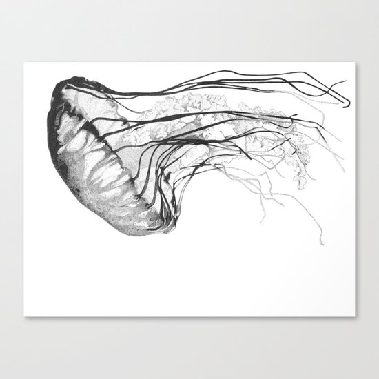 Medusozoa Canvas Print