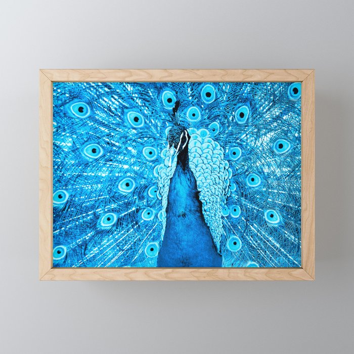 Peacock Framed Mini Art Print