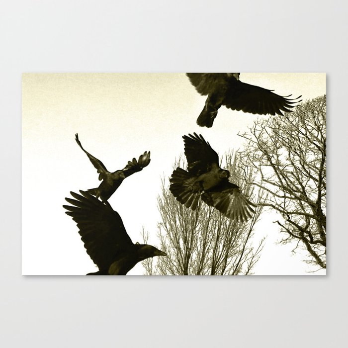 Flight of Crows  Canvas Print