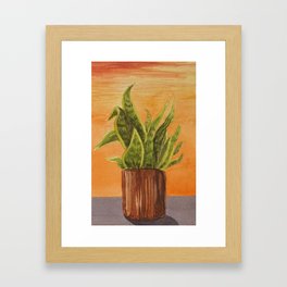 Snake Plant Sunset Framed Art Print