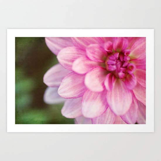 dahlia Art Print