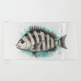 "Sheepshead Splash" by Amber Marine ~ Watercolor Fish Painting (Copyright 2016) Beach Towel
