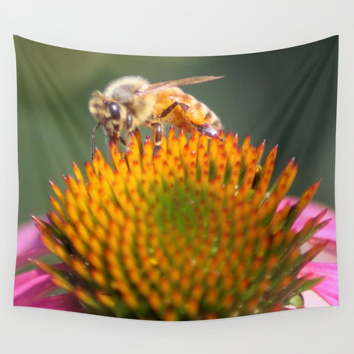 honeybee on cone flower 656 Wall Tapestry