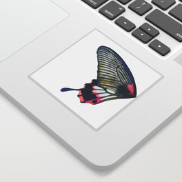Butterfly left wing - find the right wing in my store :) Sticker