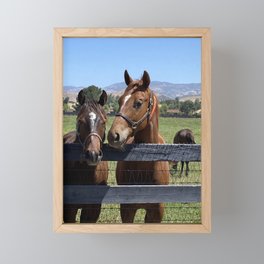 Horse Profiles Framed Mini Art Print