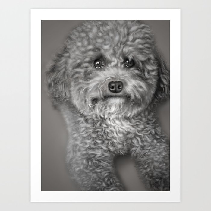 Lovely Poodle - Monchi#3 Art Print