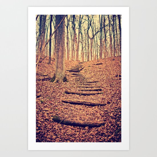 Path in the Woods Art Print