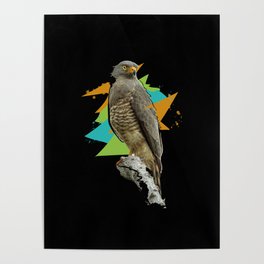Hawk Ornithology Bird Lover Graphic Hawk Poster | Wildlife, Bird Lovers, Birding Dad, Wild Birds, Nature Hawk, Funny Ornithology, Bird Watching Mom, Beautiful Bird, Cool Bird Watching, Bird Gift 