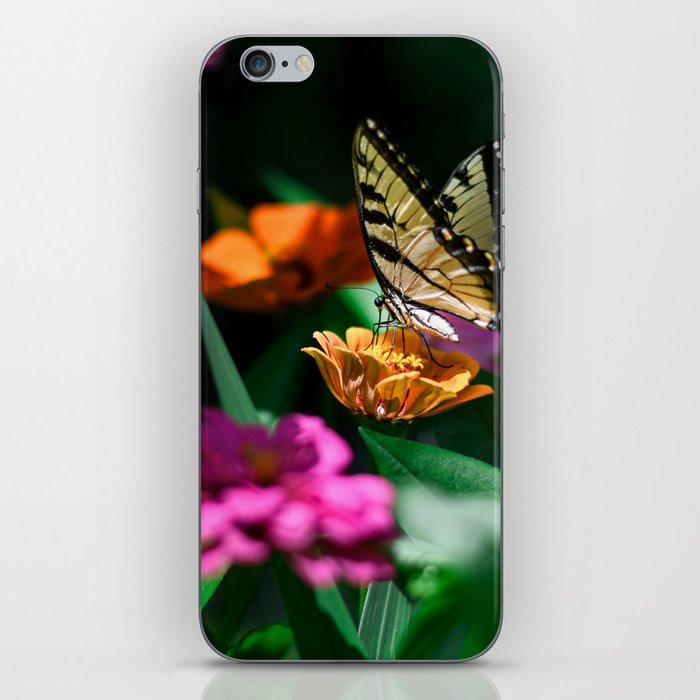 Beautiful Butterfly iPhone Skin