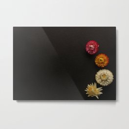 Strawflowers Mockup Metal Print | Flower, Decorative, Nature, Digital, Daisy, Color, Flowers, Dried, Bright, Photo 