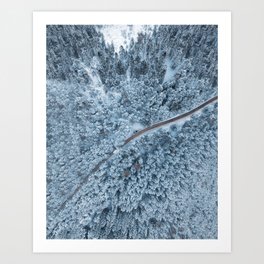 White Forest Print, Snow Austria, Winter Poster, Nature Photography, Wall Art, Minimal Nature Art Print