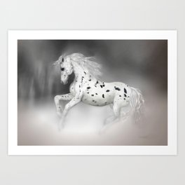 HORSE - Appaloosa Art Print
