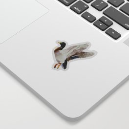 Flying Wild Duck Sticker