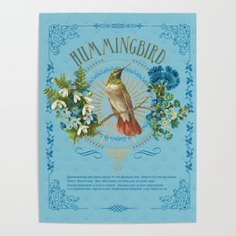 Magic Birds - Hummingbird Poster