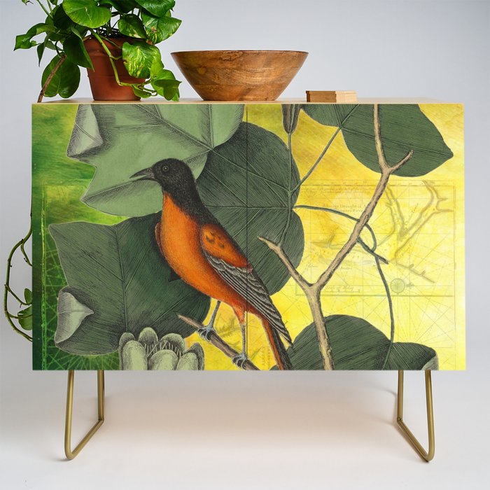 Baltimore Oriole on Tulip Tree, Vintage Natural History and Botanical Credenza