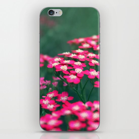 Across the Valley iPhone Skin