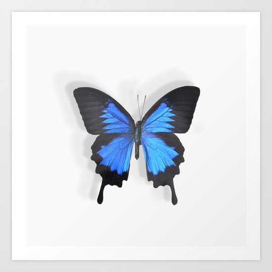 Botanical Bufferfly Art Print