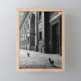 Two French Cats, Paris Left Bank black and white cityscape photograph / photography Framed Mini Art Print