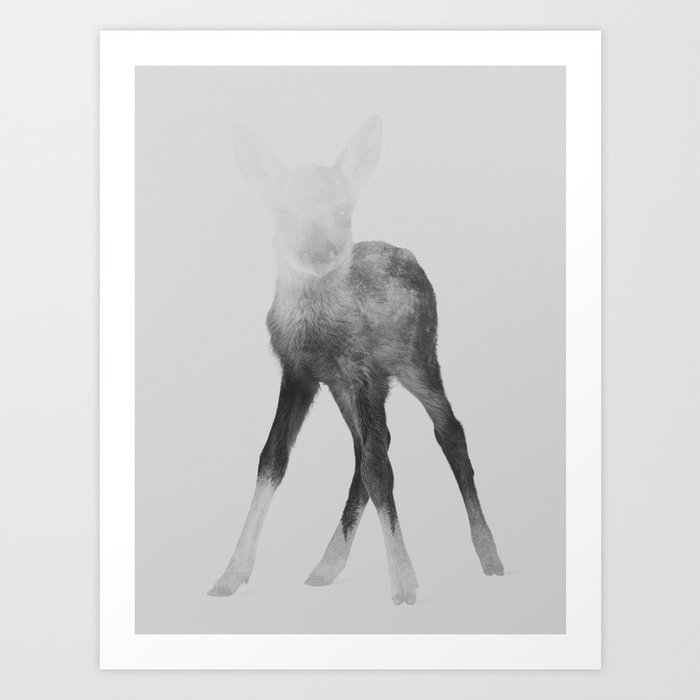 Discover the motif DEER FAWN (BLACK AND WHITE) by Andreas Lie as a print at TOPPOSTER
