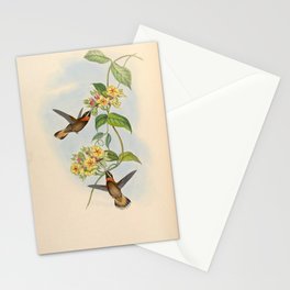 Pale-tailed Barbthroat Hummingbird by John Gould, 1861 (benefitting the Nature Conservancy) Stationery Card