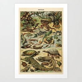 Reptiles by Adolphe Millot Art Print