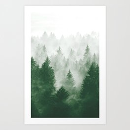 Foggy Woods III Art Print