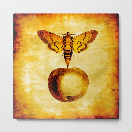 The butterfly and the golden apple Metal Print