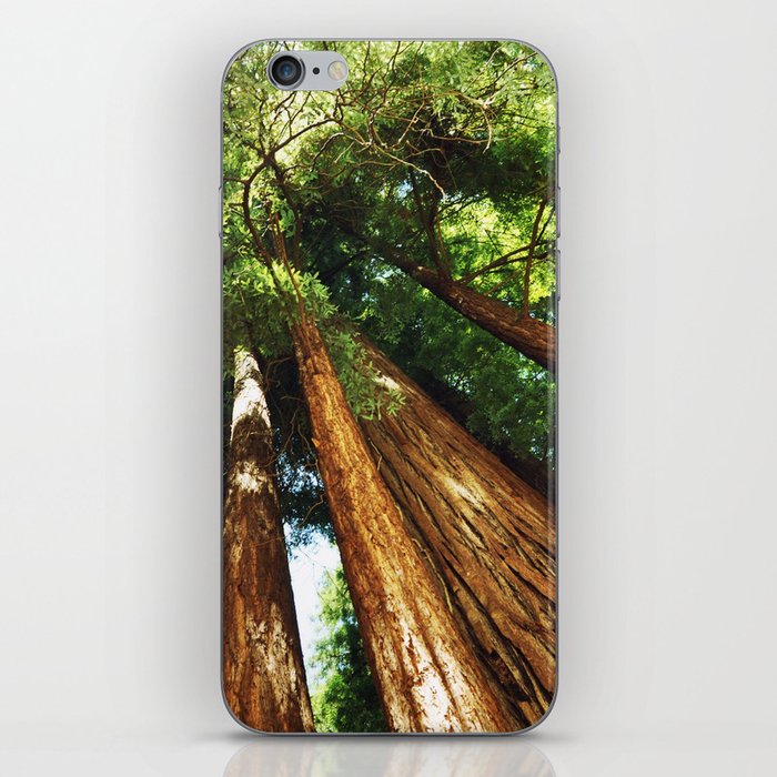 Glorious Redwoods... iPhone Skin