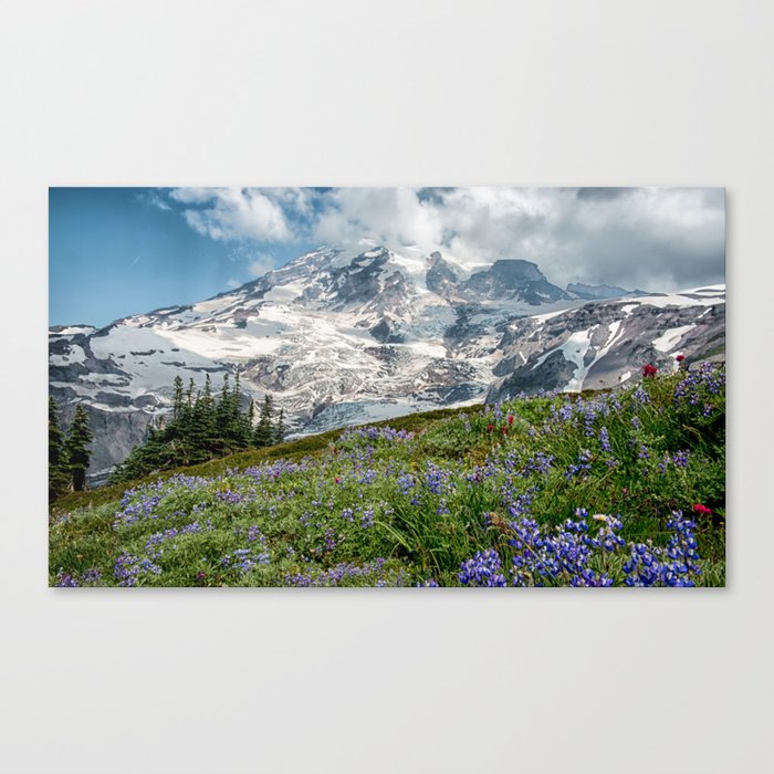 Scenic Landscape Art, Mt. Rainier, Mt. Rainier National Park, Paradise Canvas Print