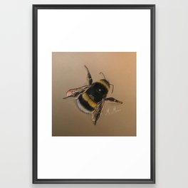 Bees Are Everything Framed Art Print