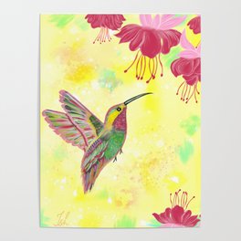 Humming Bird Tropical  Poster