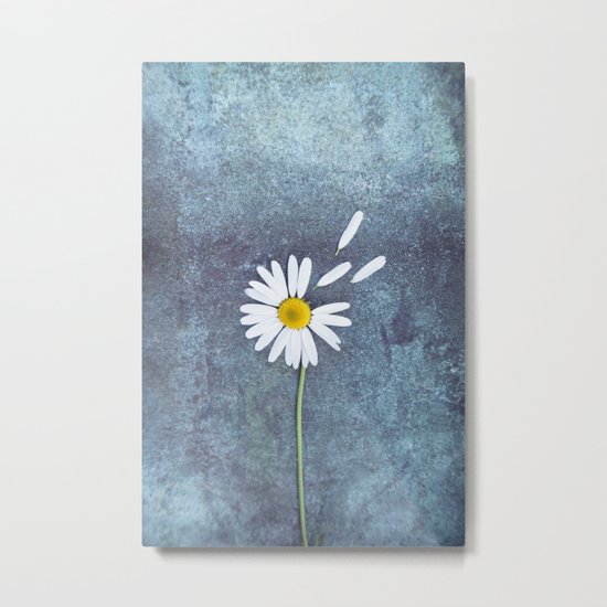 Daisy II Metal Print
