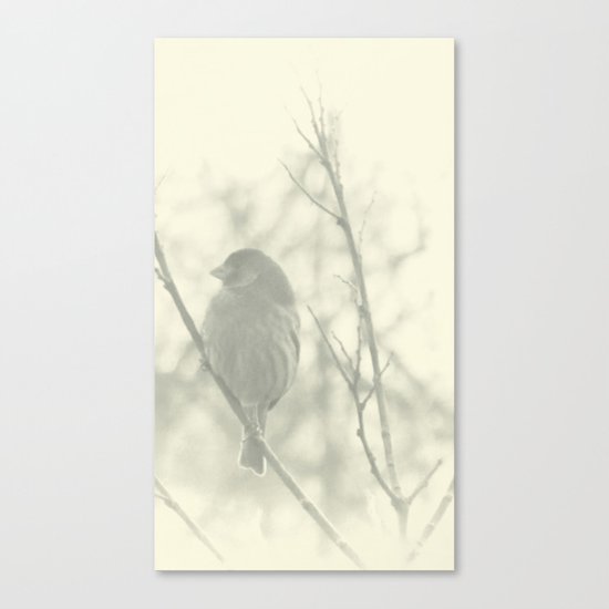 Subtlety Canvas Print